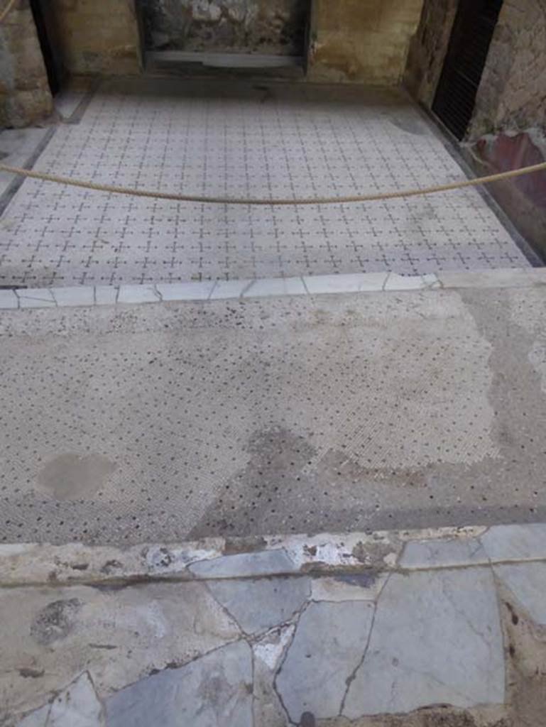 V.8 Herculaneum. October 2014. Area 4, looking north across flooring, from Room 7. 
Photo courtesy of Michael Binns.
