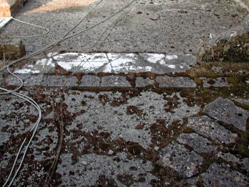 V.8, Herculaneum. September 2003.  Upper room, marble threshold. Photo courtesy of Nicolas Monteix.

