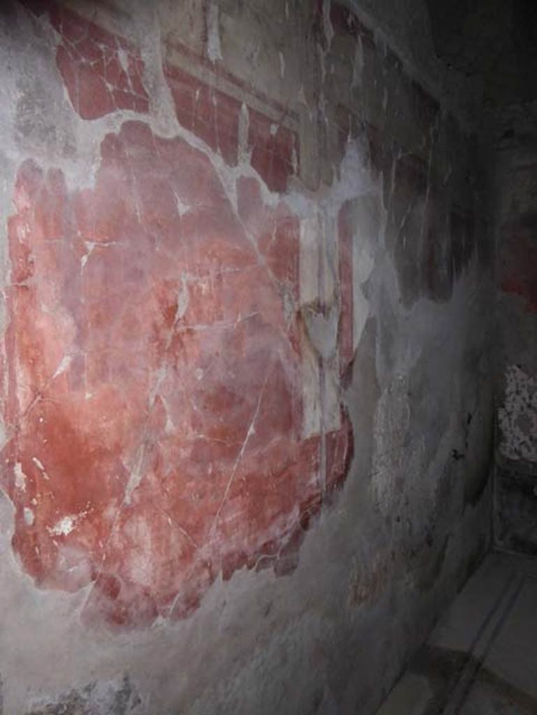V.8, Herculaneum. October 2014. Room 5, west wall of oecus, and north-west corner.
Photo courtesy of Michael Binns.
