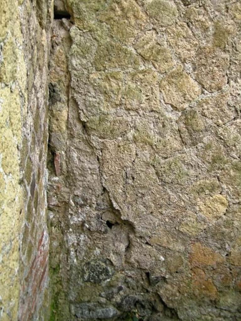 V.11, Herculaneum. December 2004. Detail from south-east corner of rear room. 
Photo courtesy of Nicolas Monteix.
