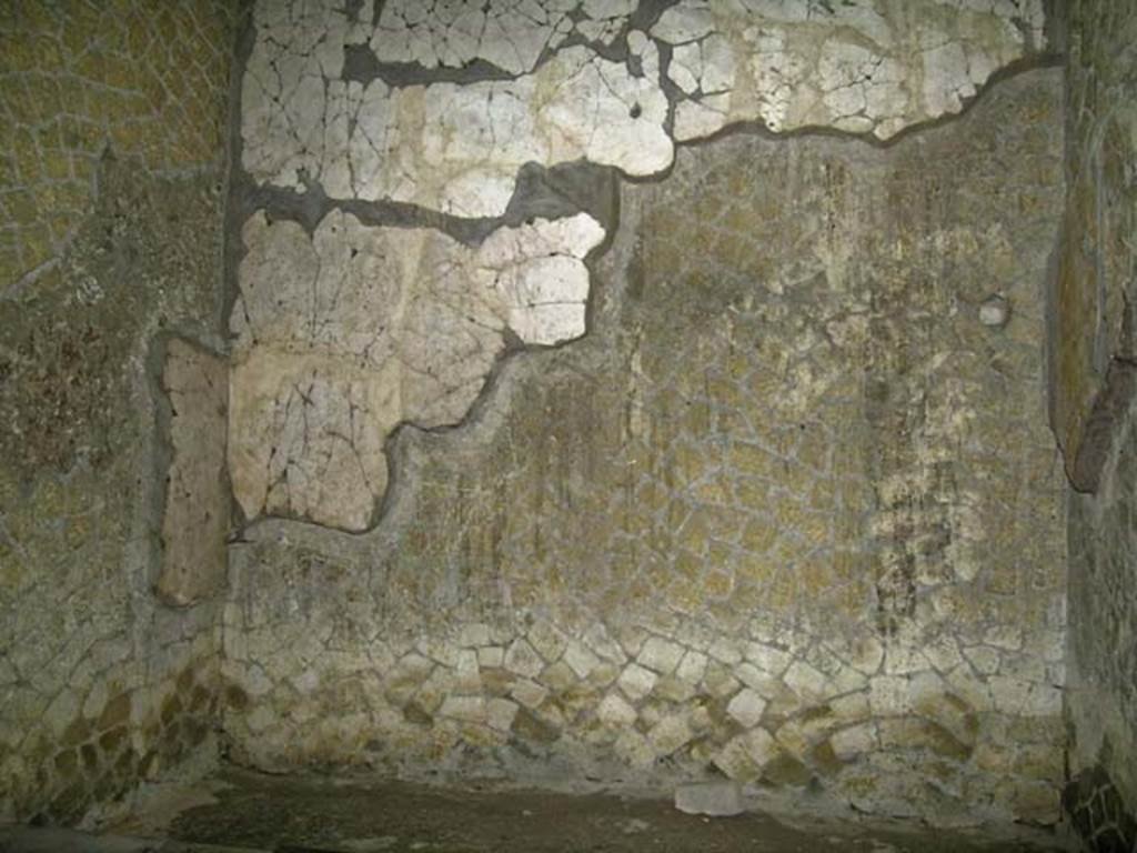 V.15 Herculaneum. December 2004. West ala in south-west corner of atrium, looking west. 
Photo courtesy of Nicolas Monteix.

