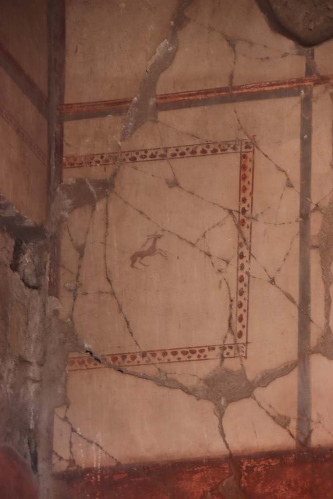 V.15 Herculaneum, September 2021. 
Looking towards upper south wall of atrium in south-east corner. Photo courtesy of Klaus Heese.
