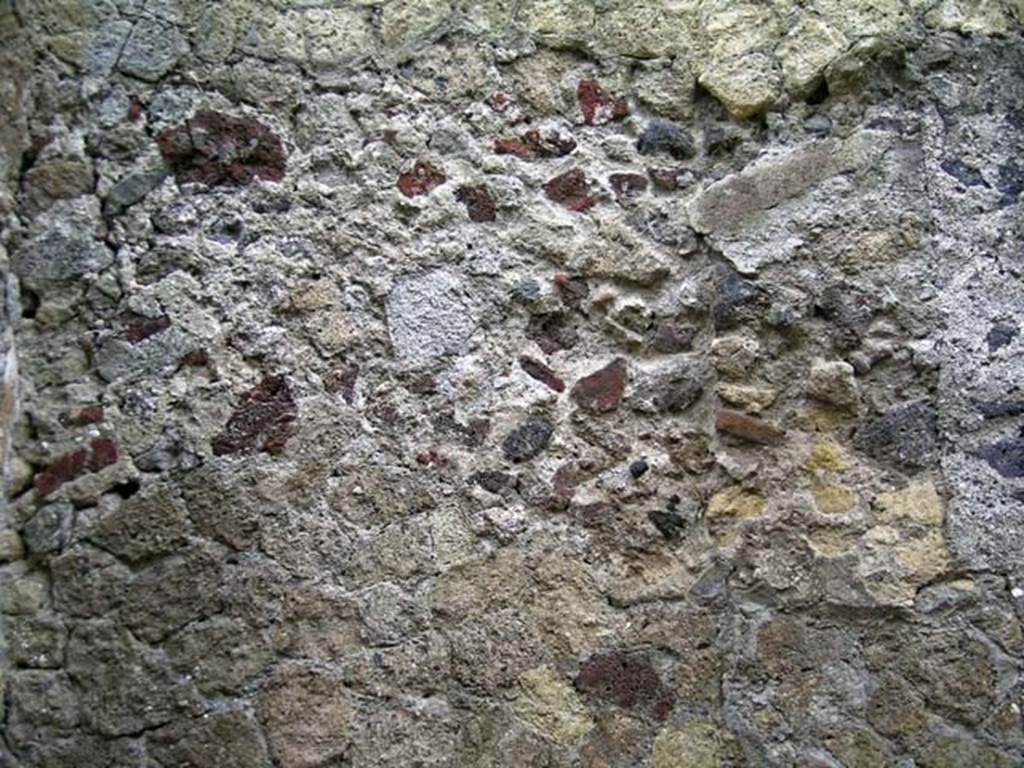 V.35, Herculaneum. May 2005. Detail from east wall of kitchen 9. Photo courtesy of Nicolas Monteix.