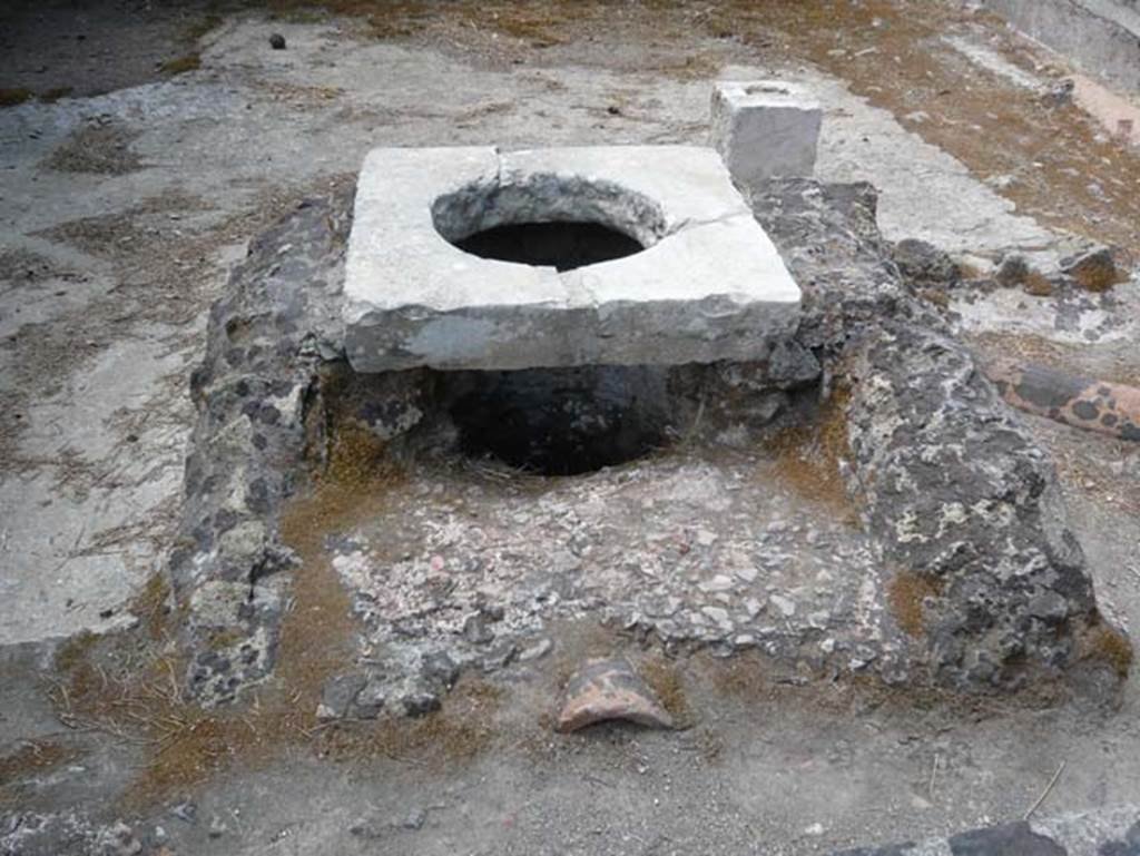 V,35 Herculaneum. August 2013. Detail of cistern mouth in courtyard 12. Photo courtesy of Buzz Ferebee.