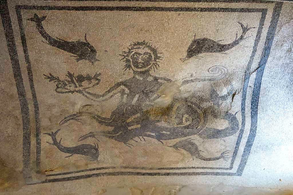 VI.1/7, Herculaneum, August 2021. 
Looking north across mosaic in tepidarium showing a Triton with a helm and a basket of fruit surrounded by four dolphins.
Photo courtesy of Robert Hanson.
