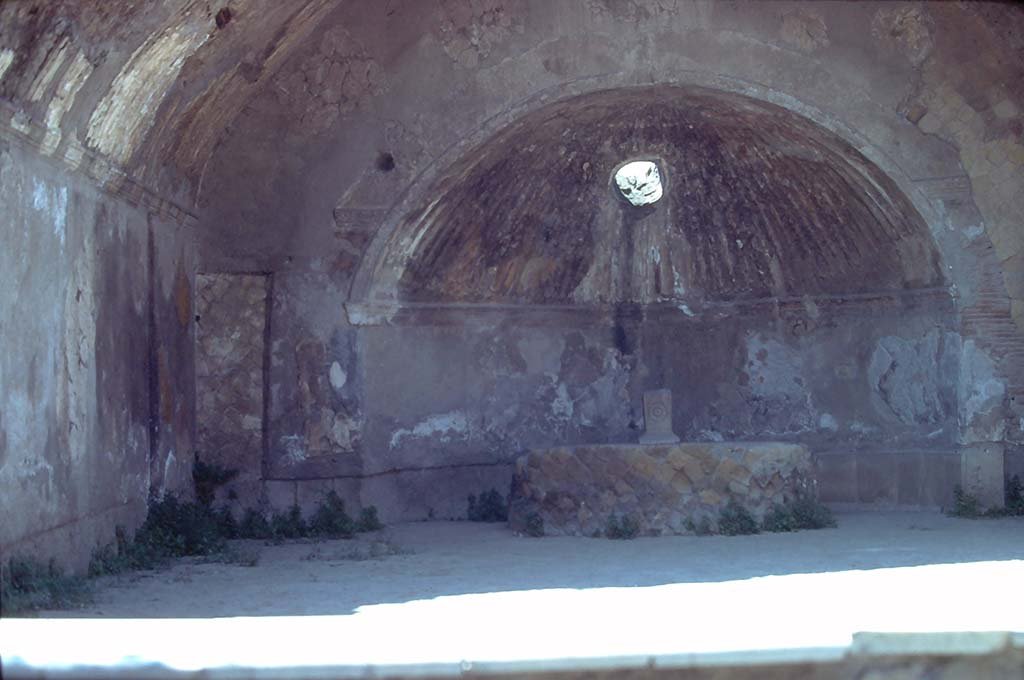 VI.1/7, Herculaneum. 7th August 1976. Looking towards south end of caldarium. 
Photo courtesy of Rick Bauer, from Dr George Fay’s slides collection.
