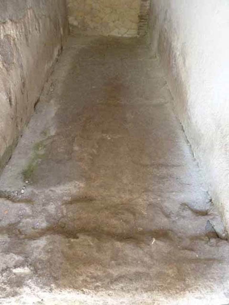 VI.8, Herculaneum. May 2010. Flooring of corridor, on the south side of the apodyterium.
