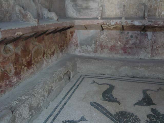 VI.8, Herculaneum. August 2013. Mosaic in north-east corner of floor. Photo courtesy of Buzz Ferebee.