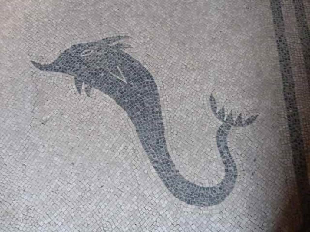 VI.8, Herculaneum. May 2010. Black and white mosaic of dolphin at south end of floor in apodyterium.
