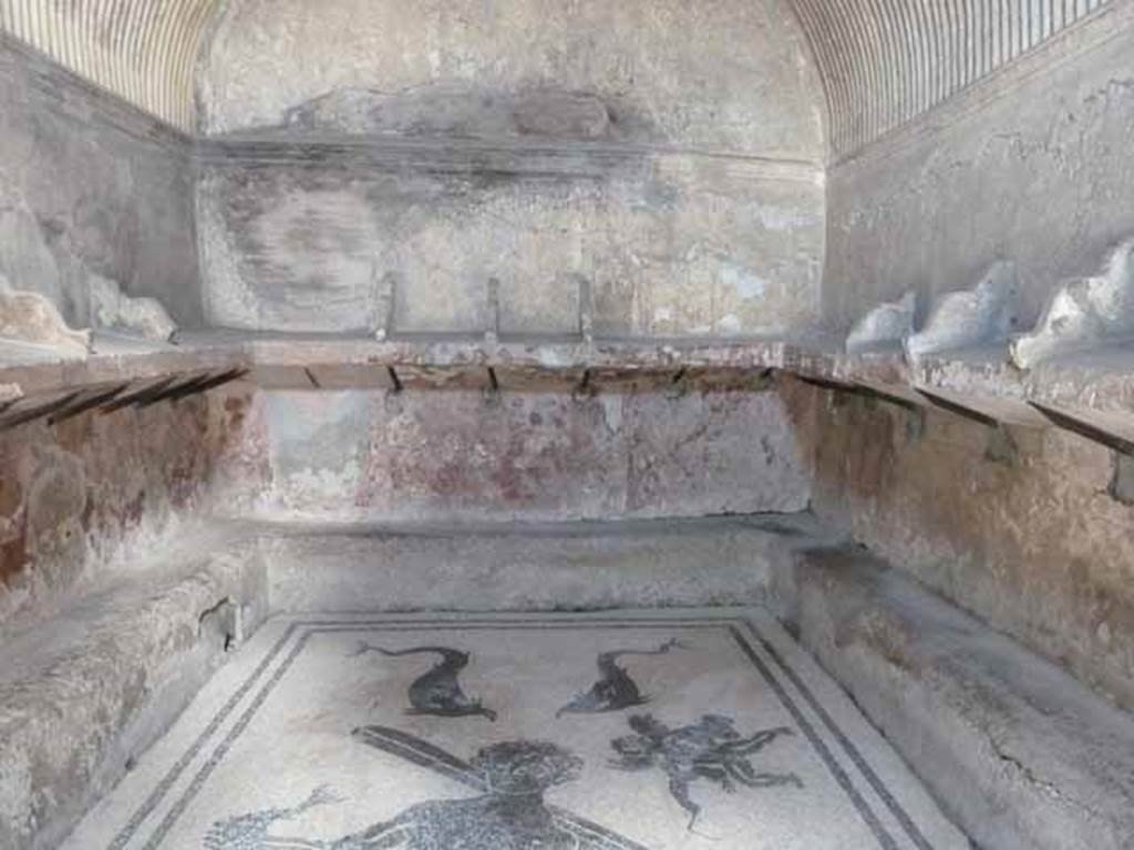 VI.8, Herculaneum. May 2010. North wall of apodyterium.
