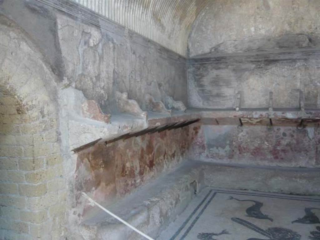 VI.8, Herculaneum. August 2013. Looking towards west wall of waiting room, or apodyterium. Photo courtesy of Buzz Ferebee.

