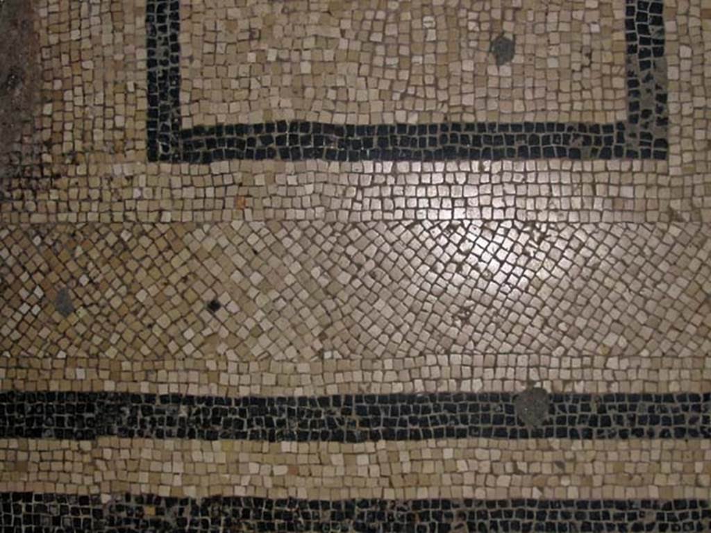 VI.8, Herculaneum. May 2003. 
Detail of black and white mosaic border of two lines around edge of flooring in apodyterium.
Photo courtesy of Nicolas Monteix.
