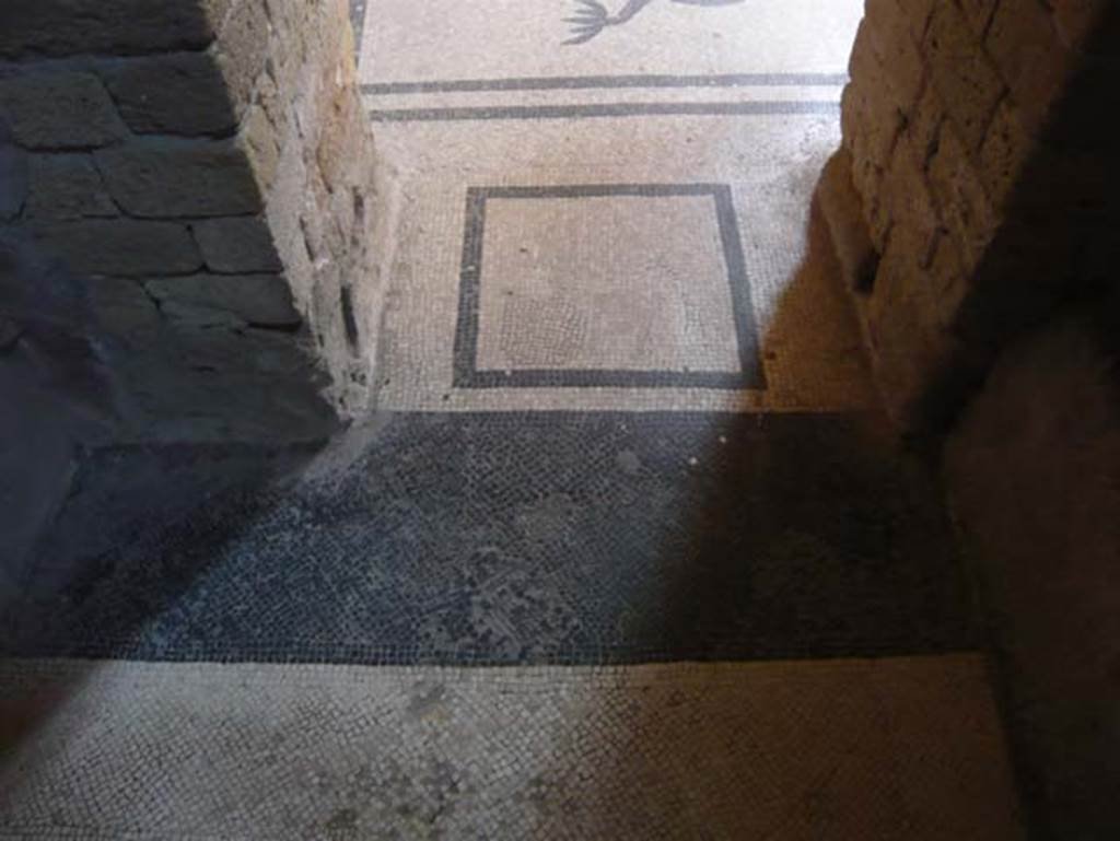 VI.8, Herculaneum. August 2013. Looking east towards mosaic threshold of doorway from tepidarium to apodyterium.  Photo courtesy of Buzz Ferebee.
