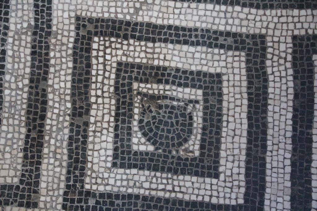 VI.8, Herculaneum. April 2014. Detail of mosaic floor in tepidarium. Photo courtesy of Klaus Heese.