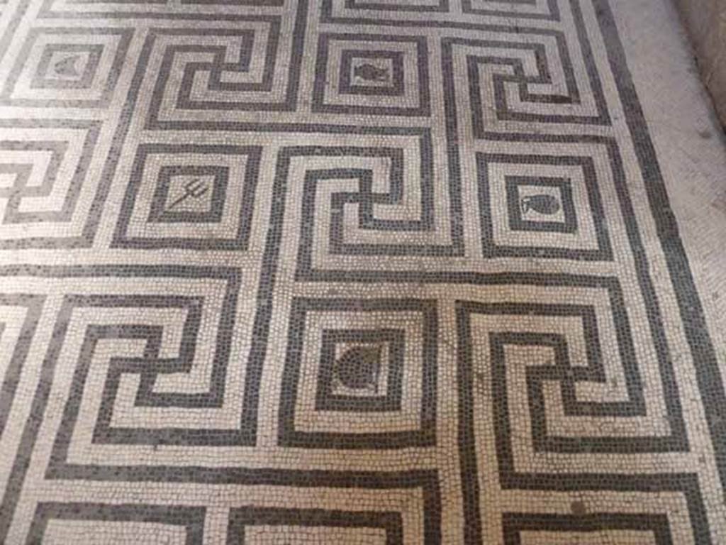 VI.8, Herculaneum. May 2010. Detail of meandering mosaic floor in tepidarium.