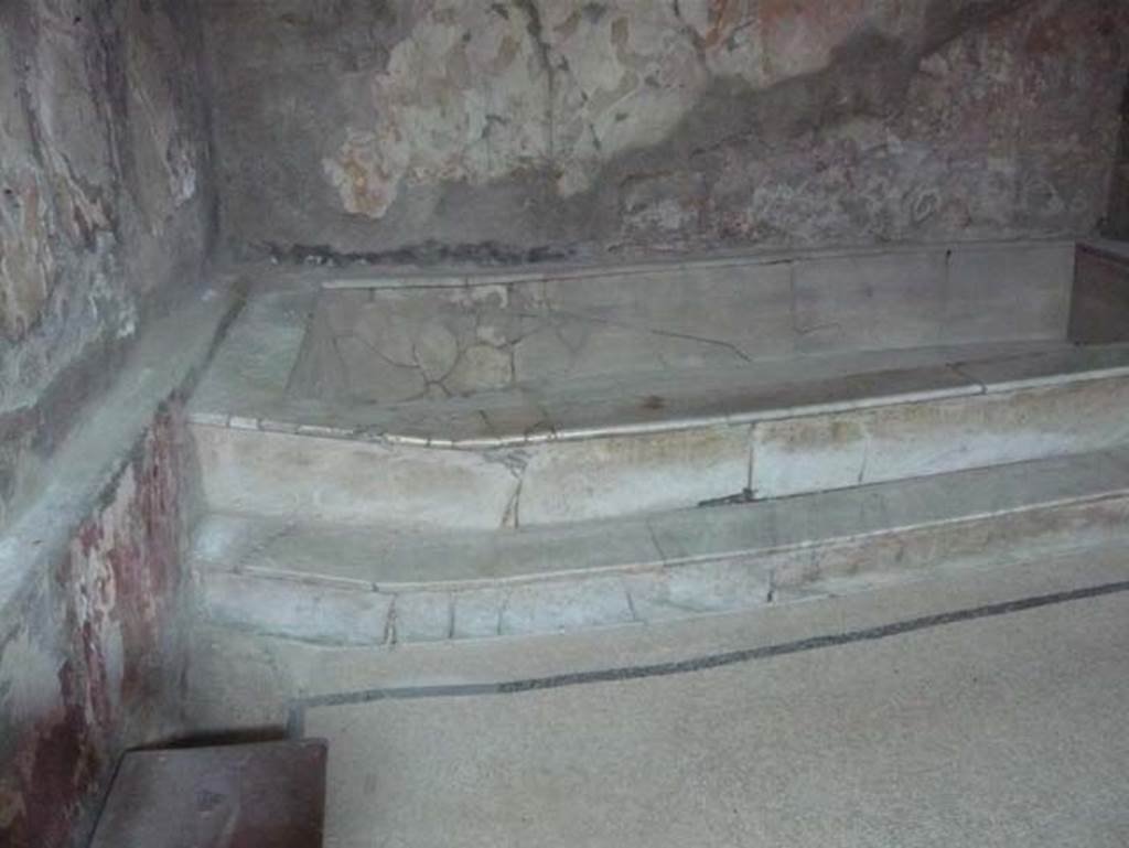 VI.8, Herculaneum. August 2013. Looking towards west end of pool. Photo courtesy of Buzz Ferebee.