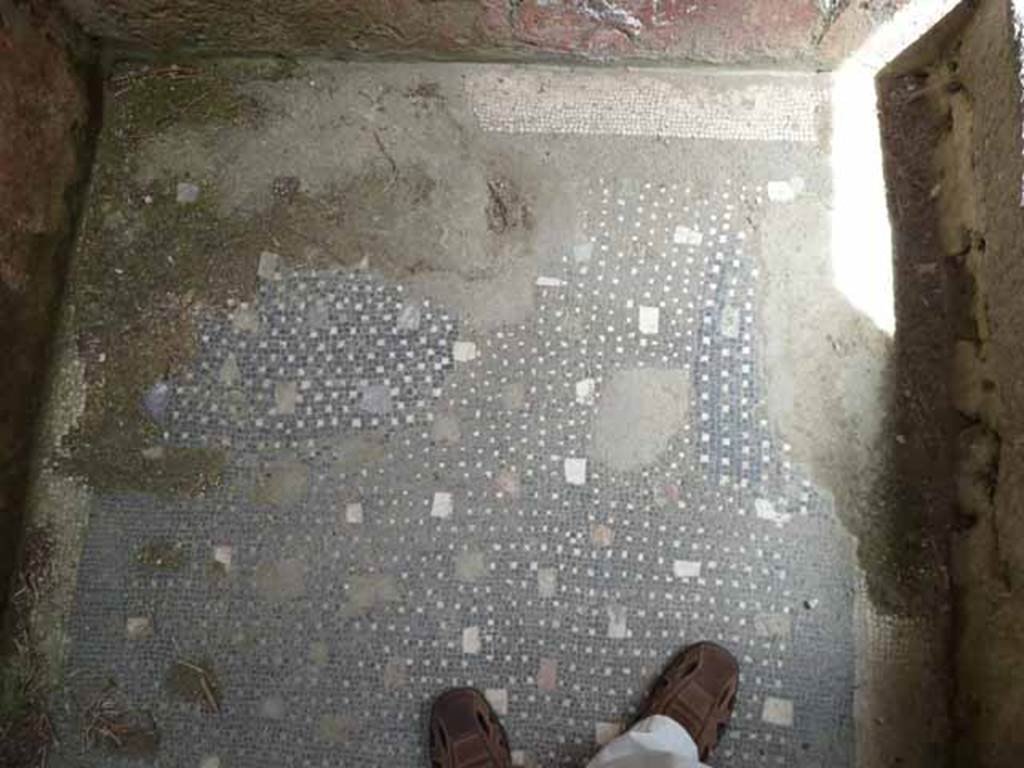 VI.9 Herculaneum. May 2010. Black and white mosaic floor, inserted with polychrome marble.

