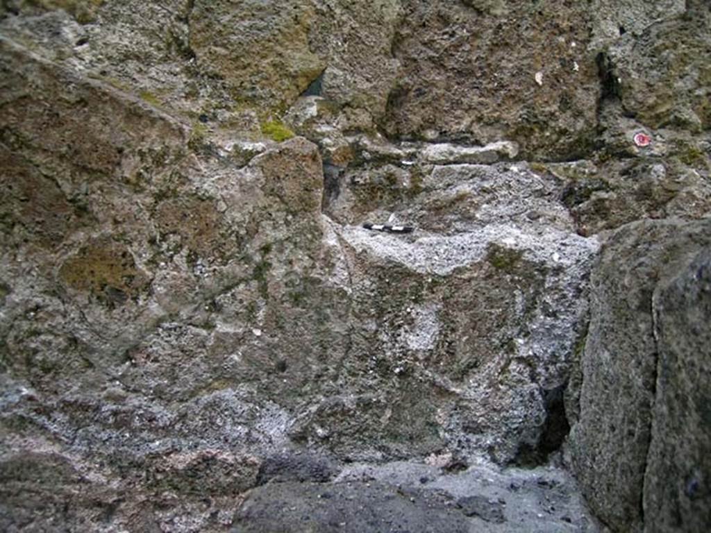 VI.12, Herculaneum. September 2004.  West wall above lower step in north-west corner of rear room. 
Photo courtesy of Nicolas Monteix.
