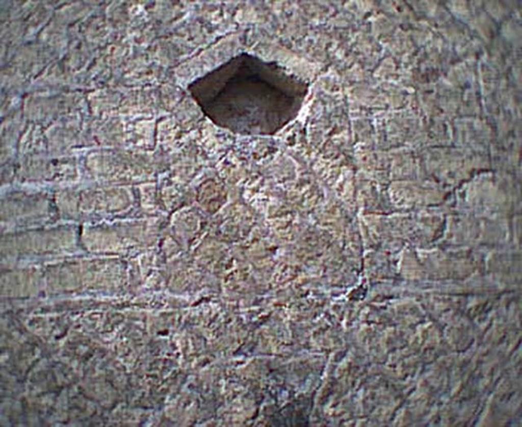 VI.13/11, Herculaneum. Not dated. Courtyard, detail from west wall. Photo courtesy of Nicolas Monteix.