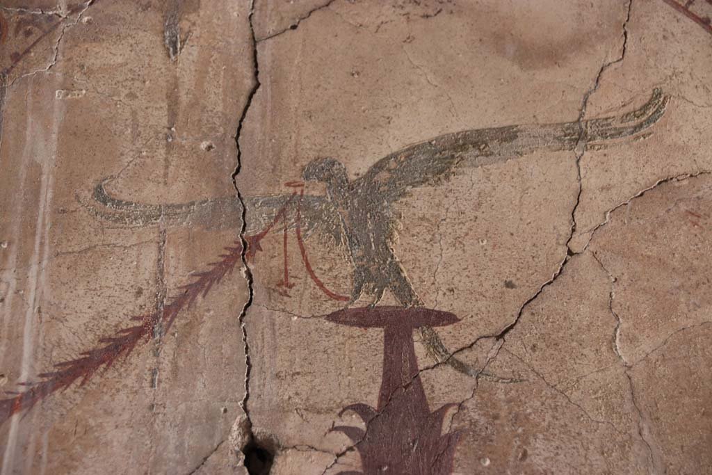 VI.13/11, Herculaneum. September 2017. Painted detail from corridor walls. Photo courtesy of Klaus Heese.