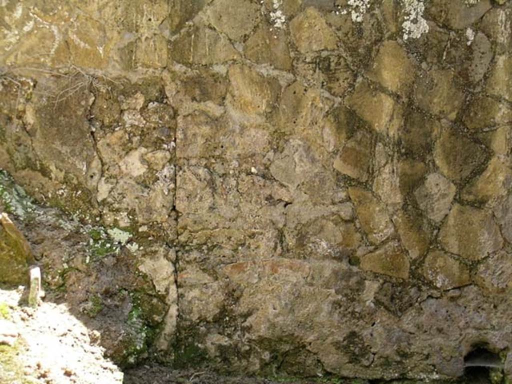 VI.17/26, Herculaneum. May 2004. Detail from east wall. Photo courtesy of Nicolas Monteix.