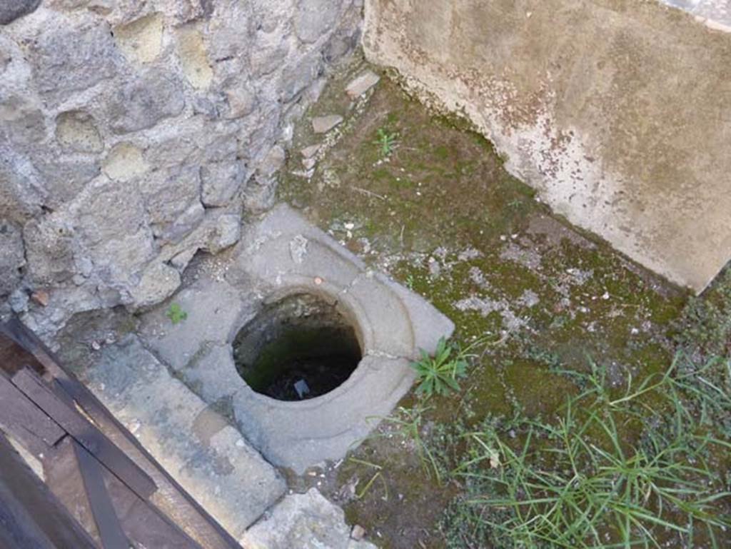 Ins. VI 19, Herculaneum, September 2015. Cistern mouth on east side.