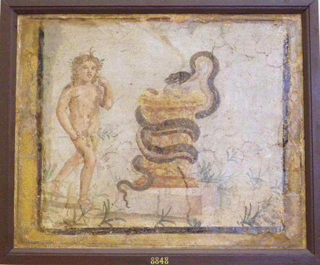 VI 26 Herculaneum. Lararium painting found 21st December 1748 by the Bourbon tunnellers. 
Naked Harpocrates on the left of a yellow marble altar, entwined with a serpent approaching the offerings.
Now in Naples Archaeological Museum. Inventory number 8848. 
According to Pagano & Prisciandaro, this lararium painting was found in the kitchen?,
See Pagano, M. and Prisciandaro, R., 2006. Studio sulle provenienze degli oggetti rinvenuti negli scavi borbonici del regno di Napoli.  Naples: Nicola Longobardi. (p.205).
Other references AdE, I, 36, 207, Diario 267, St.Erc.104. CIL IV 1176.
A note says “The space of the cut seems to coincide with that of the plaster of the kitchen of the House of the Tuscan Columns” see F. De Salvia in Hommages a J.Leclant, III, 1994, pp.145 onwards.
According to Rocco, the incision made in the 1700’s of this painting in the Pitture di Ercolano recorded the inscription, next to the altar, the phrase Genius huius loci montis:  it was believed that the serpent was the protector of the places where it lurked.
See Bragantini, I and Sampaolo, V., Eds, 2009. La Pittura Pompeiana. Verona: Electa. (p.430, no.223)
