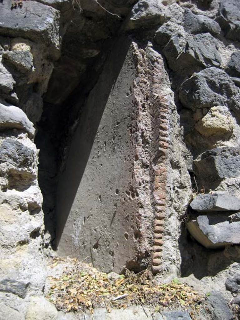 VII.2 Herculaneum. June 2011. Peristyle 10, detail from west wall.
Photo courtesy of Sera Baker. 
