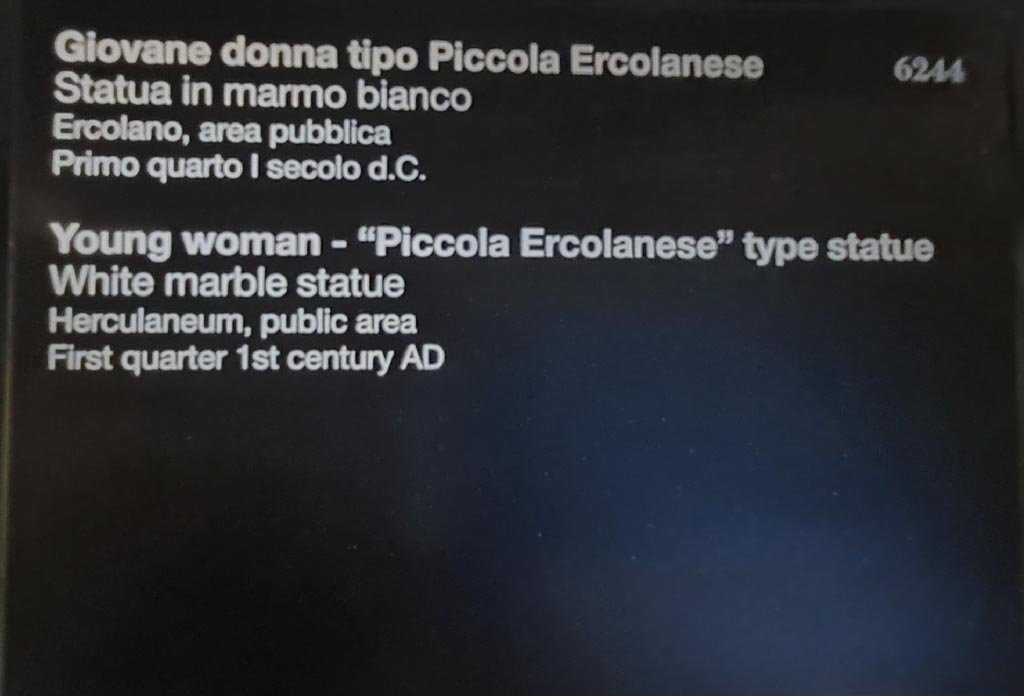 Herculaneum. April 2023. Descriptive card for Piccola Ercolanese statue, inventory number 6244. Photo courtesy of Giuseppe Ciaramella.
