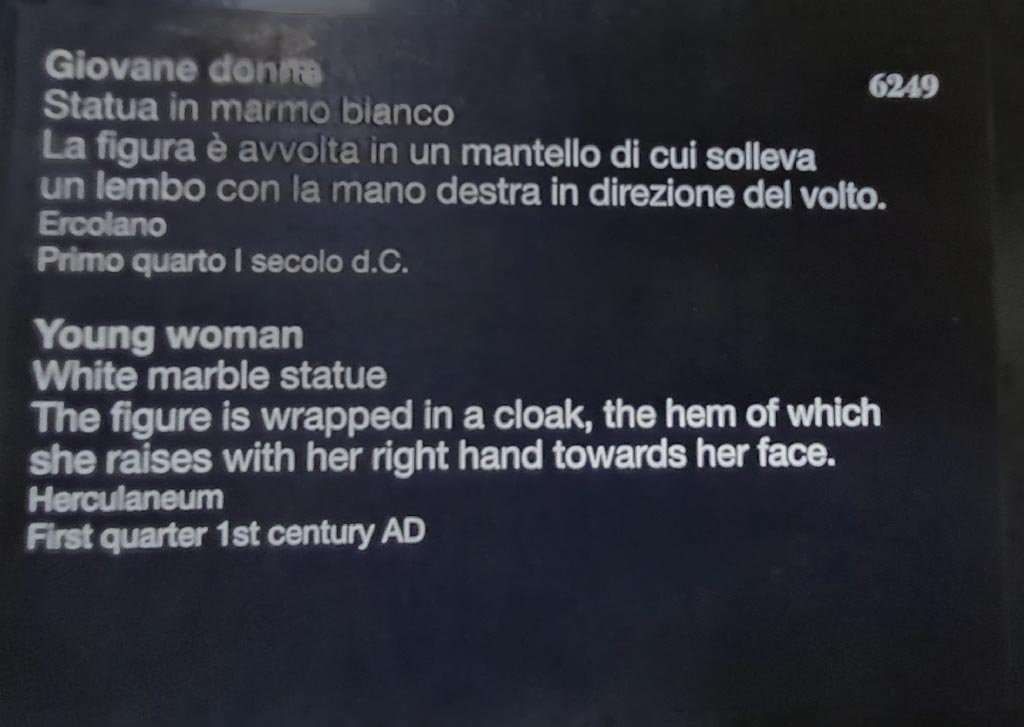 Herculaneum. April 2023. Descriptive card for statue of a young woman, 6249. Photo courtesy of Giuseppe Ciaramella.