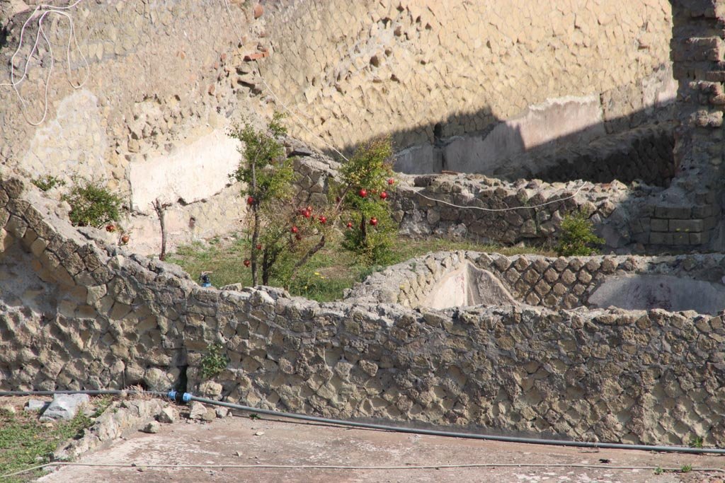 Ins. Or. I.1, Herculaneum. October 2023. 
Looking north-west towards remains of Diaeta 12 (grassed area on lower left) onto loggia (lower centre and right).
Across the centre is the Terrace area, with remains of room 8, centre right.  Photo courtesy of Klaus Heese.
