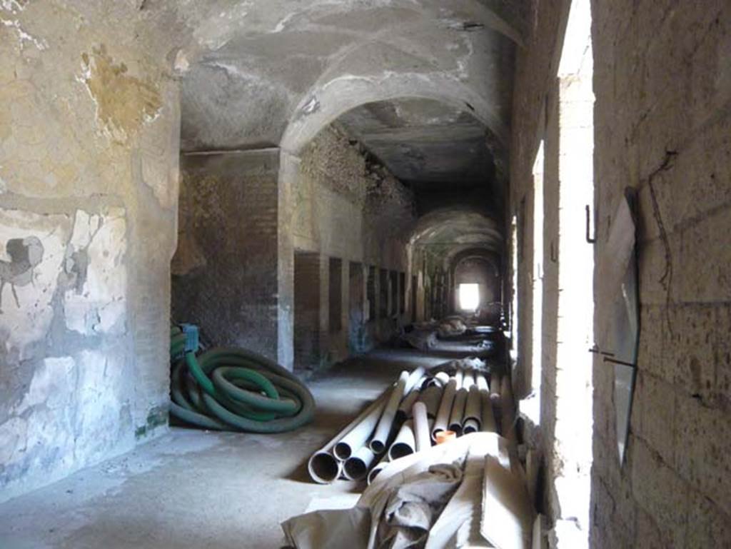 Ins. Orientalis II 4, Herculaneum, August 2013. Looking east along interior of cryptoporticus.  Photo courtesy of Buzz Ferebee
