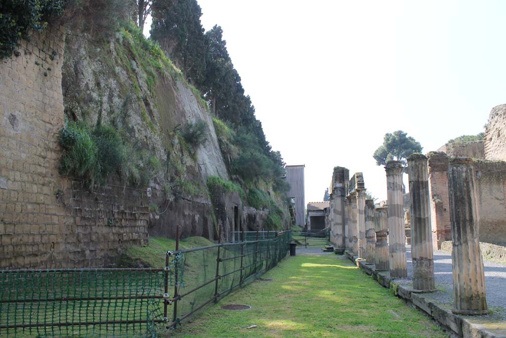 Ins. Or. II.4, Herculaneum. March 2014. Looking south along the west portico and the unexcavated below the access roadway. 
Foto Annette Haug, ERC Grant 681269 DÉCOR
