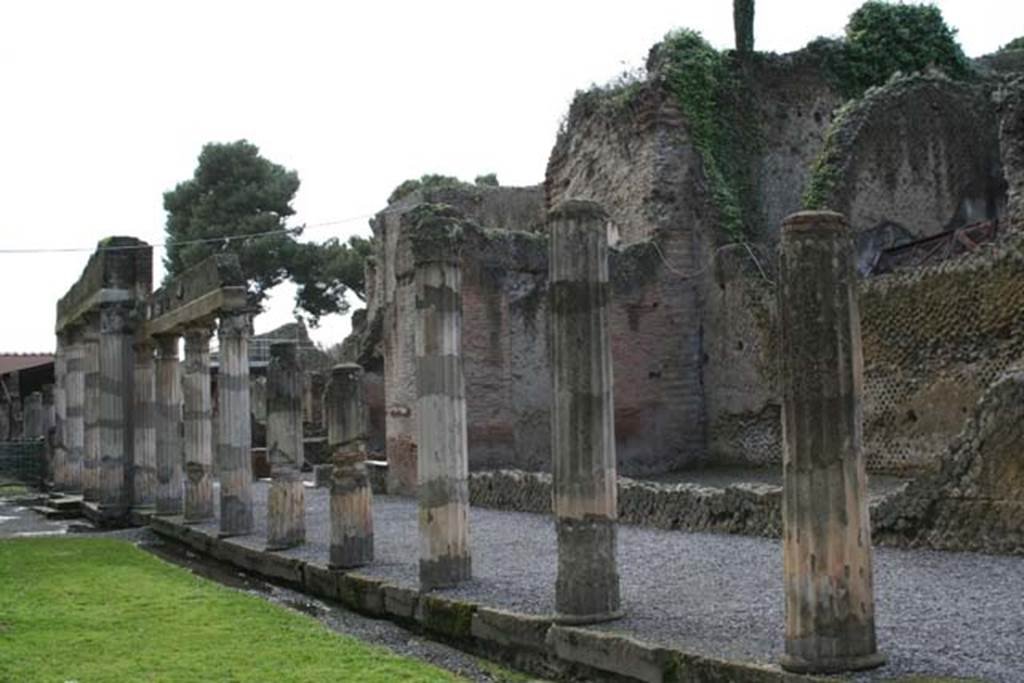 Ins. Orientalis II.4, Herculaneum, March 2008. Looking south-west towards large apsed room, in centre behind portico. 
Photo courtesy of Sera Baker.
