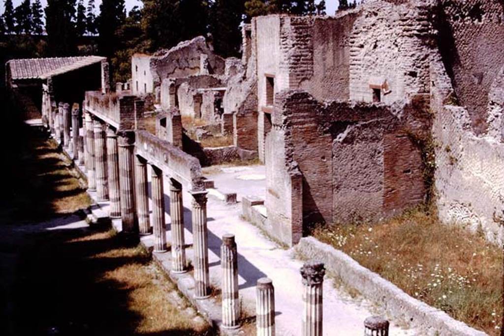 Ins. Or. II, Herculaneum. 1975. Looking south towards west side, with large apsed room, centre right.  Photo by Stanley A. Jashemski.   
Source: The Wilhelmina and Stanley A. Jashemski archive in the University of Maryland Library, Special Collections (See collection page) and made available under the Creative Commons Attribution-Non Commercial License v.4. See Licence and use details. J75f0712
