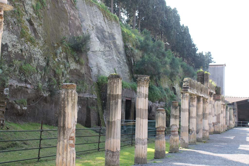 Ins. Or. II. 4, Herculaneum, March 2014. Looking south-east from the west portico.
Foto Annette Haug, ERC Grant 681269 DÉCOR
