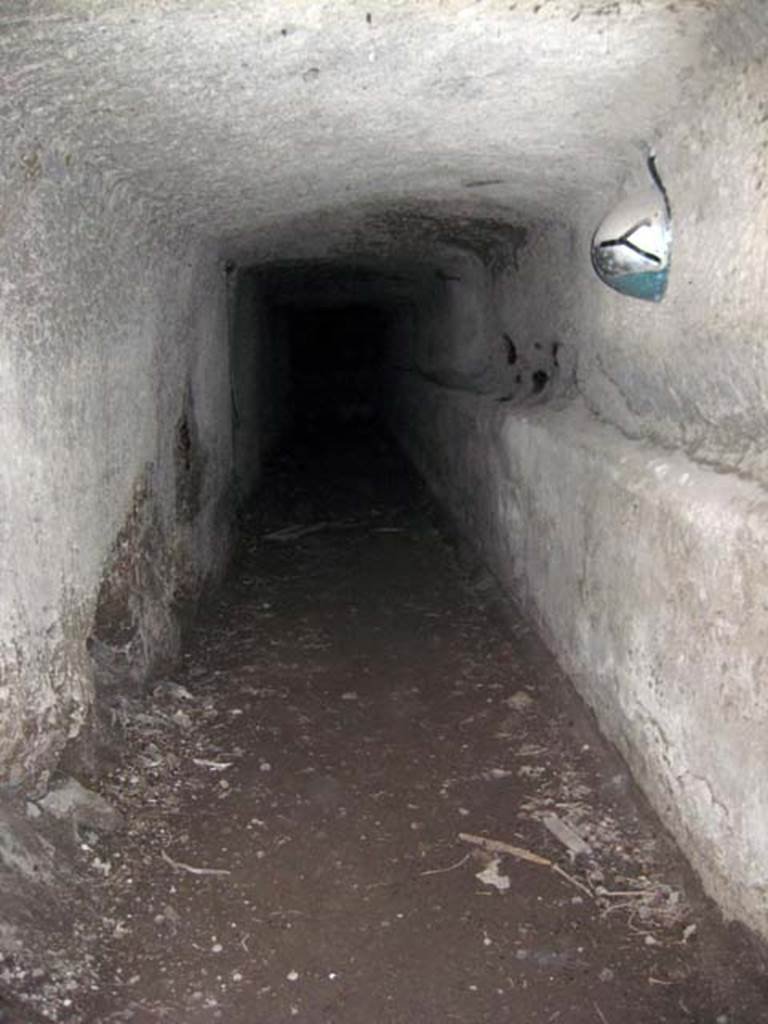 Ins. Orientalis II.4, Herculaneum, June 2011. Tunnels hewn out of the hard alluvial debris. 
Photo courtesy of Sera Baker.
