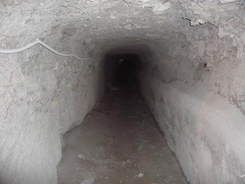 Ins. Orientalis II.4, Herculaneum, August 2013. Tunnels hewn out of the hardened alluvial debris. 
Photo courtesy of Buzz Ferebee.
