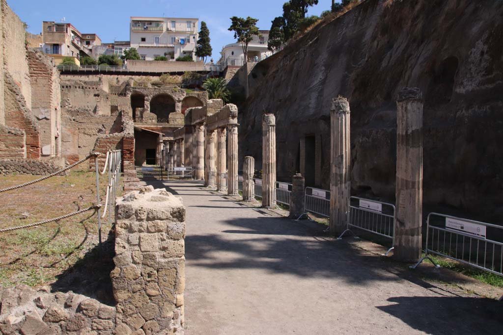 Ins. Orientalis II.4, Herculaneum, September 2019. Looking north from east end of large entrance hall.
Photo courtesy of Klaus Heese.
