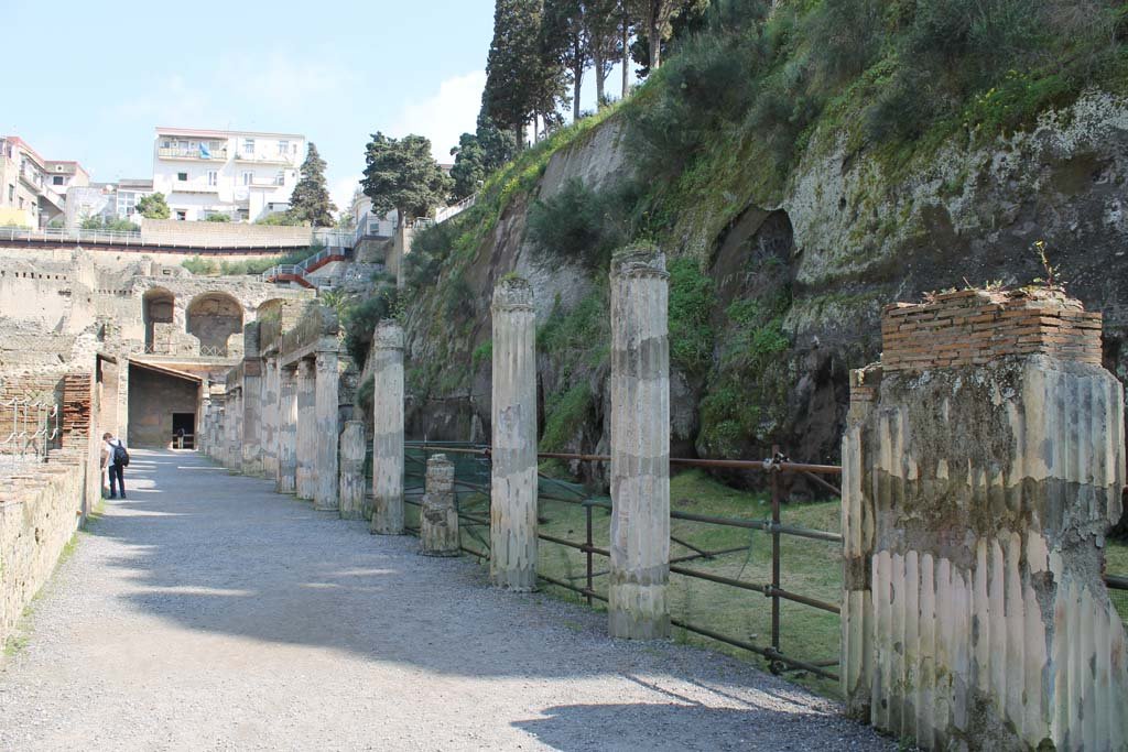 Ins. Orientalis II.4, Herculaneum, March 2014. Looking north-east from east end of large entrance hall.
Foto Annette Haug, ERC Grant 681269 DÉCOR
