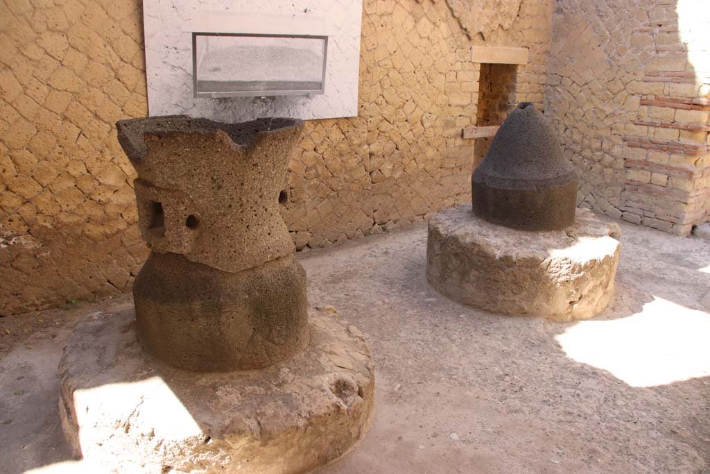 Ins. Or. II.8, Herculaneum, September 2019. Looking towards south wall, and south-west corner. 
Photo courtesy of Klaus Heese.
