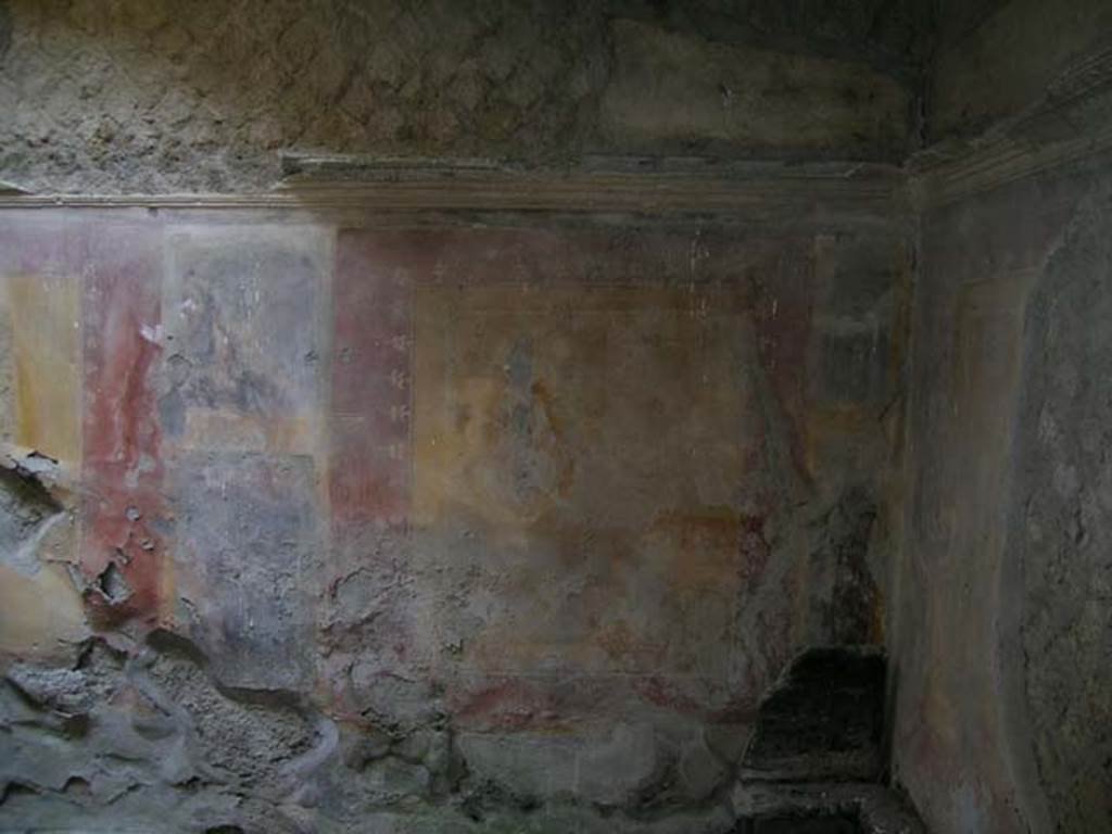 Ins Or II, 9, Herculaneum. May 2006. Detail from north-east corner of rear room. 
Photo courtesy of Nicolas Monteix.
