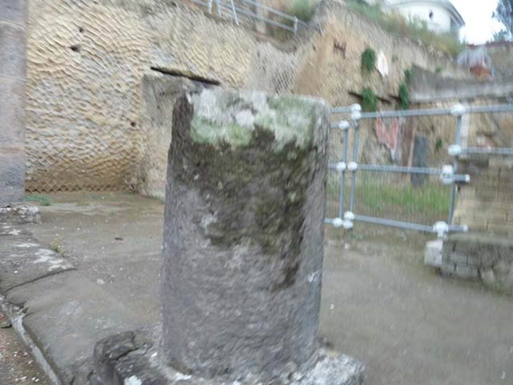Ins. Orientalis II.19, Herculaneum. September 2015. Column near south end.