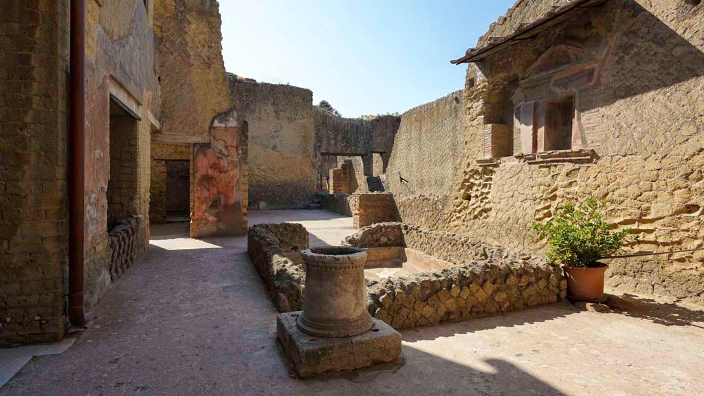 VI.29 Herculaneum, August 2021. Looking east across atrium 9. Photo courtesy of Robert Hanson.