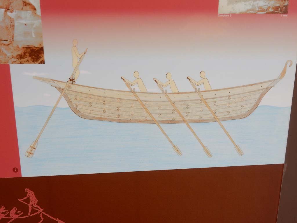 Herculaneum, June 2019. Drawing of how the boat would have looked, detail from information card at exhibition.
Photo courtesy of Buzz Ferebee.
