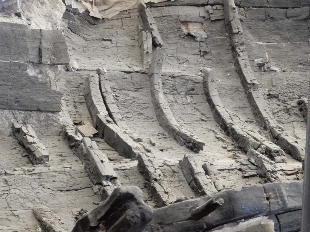 Herculaneum, June 2019. Detail. Photo courtesy of Buzz Ferebee.

