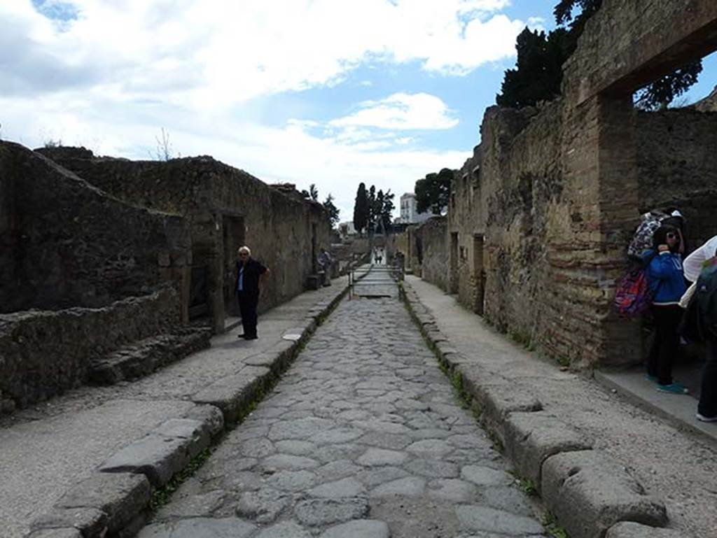 Cardo III Inferiore, Herculaneum. May 2010. Looking south with Ins. III on left, Ins. II on right.   