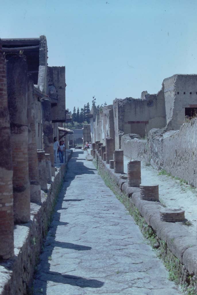 Cardo IV, Herculaneum. 7th August 1976.
Looking south along roadway from between Ins. V, on left, and Ins. VI, on right.
Photo courtesy of Rick Bauer, from Dr George Fay’s slides collection.
