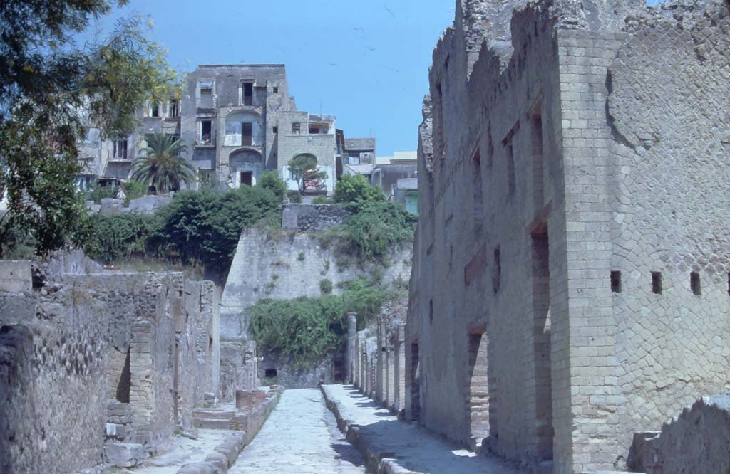 Cardo V, Herculaneum. 7th August 1976. Looking north on roadway, between Ins. V, on left, and Ins. Or. II, on right.
Photo courtesy of Rick Bauer, from Dr George Fay’s slides collection.

