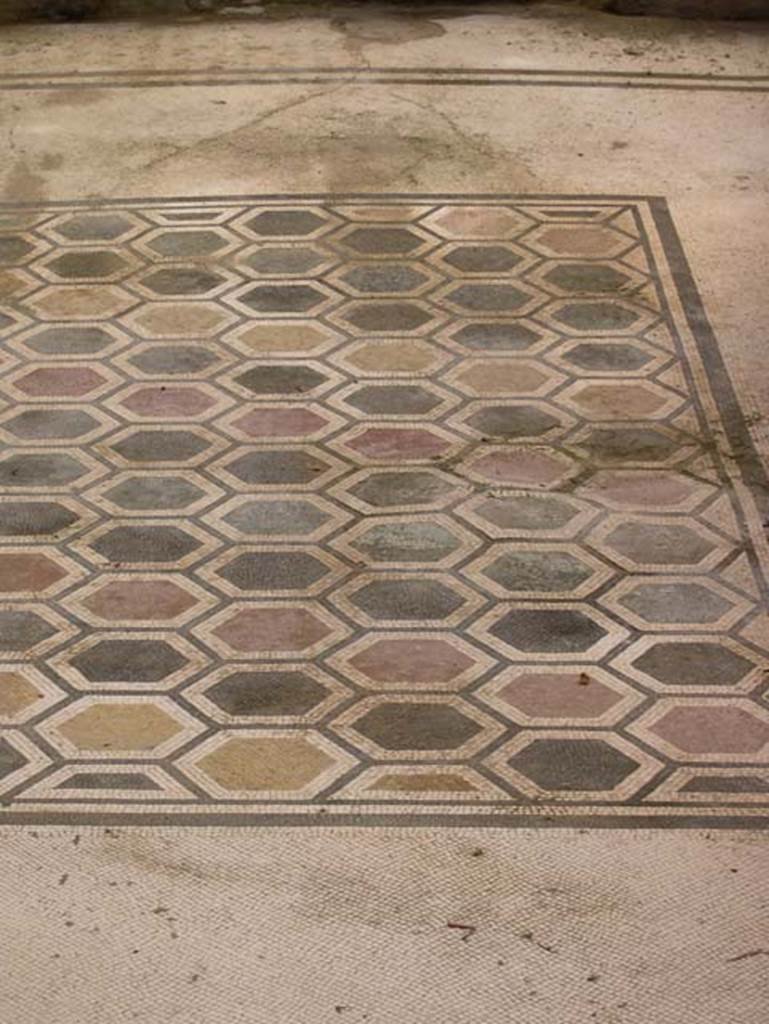 Villa dei Papiri, Herculaneum. July 2004. Detail of multicolour geometric mosaic floor in room (f).
Photo courtesy of Jennifer Stephens.
©jfsPAP0672